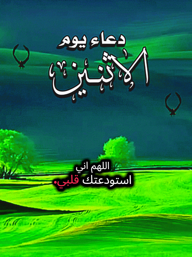 #دعاء_صباح_يوم_الاثنين #فيرال_فيديوفوريو #❤️❤️❤️❤️❤️❤️ 