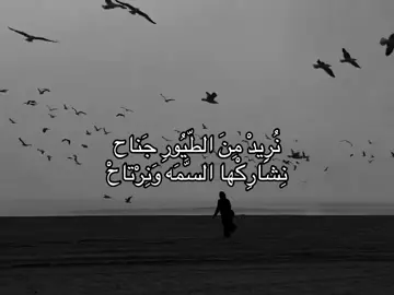 12:12م#foryou #fyyyyyyyyyyyyyyyy #foryoupage #نوفمبر #tiktok #