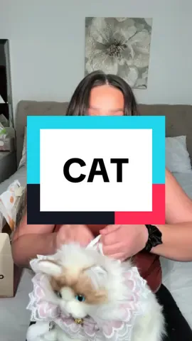 Replying to @Txmomma I want more. #cat #catsoftiktok #cats  