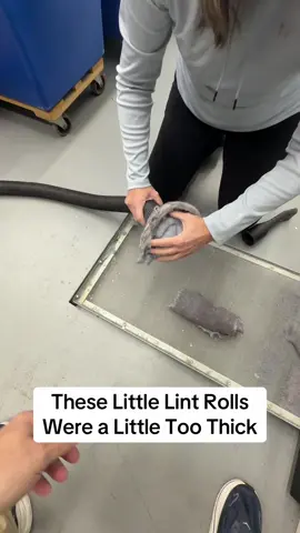 Little too thick but Henry gobbled them up. #clean #cleaning #oddlysatisfying #vacuum #cleaninghacks 