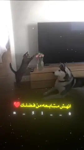 #مصطفى_المومري #ريكشنات_مصطفى_المومري #عبراتكم_الفخمه📿📌 #yfpシforyou #الشعب_الصيني_ماله_حل😂✌️ 