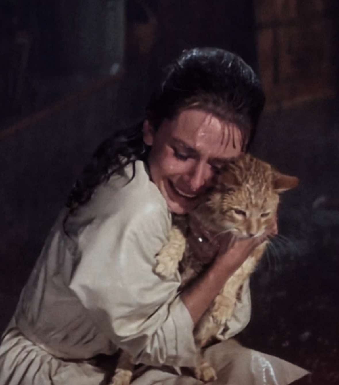 woman’s bestfriend #aestheticedits #aestheticvideos #catsoftiktok #edit 