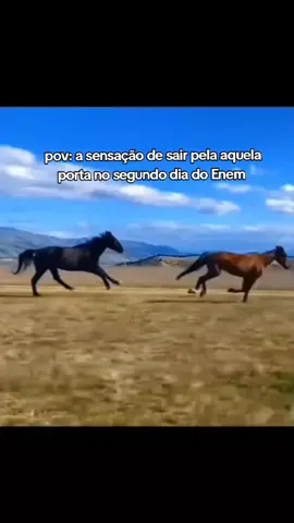 😭😭😭😭😭 #vaiprafycaramba #fypage #enem #enem2025 #viral 