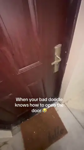 #foryou #fyp #trending #viral #lanee_ 