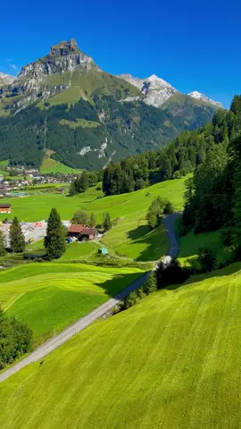 Beautiful Switzerland 🇨🇭 with Shahrukh Khan Song 🎵 #switzerland🇨🇭 #شاروخان #shahrukhkhan #سویس #طبیعت 