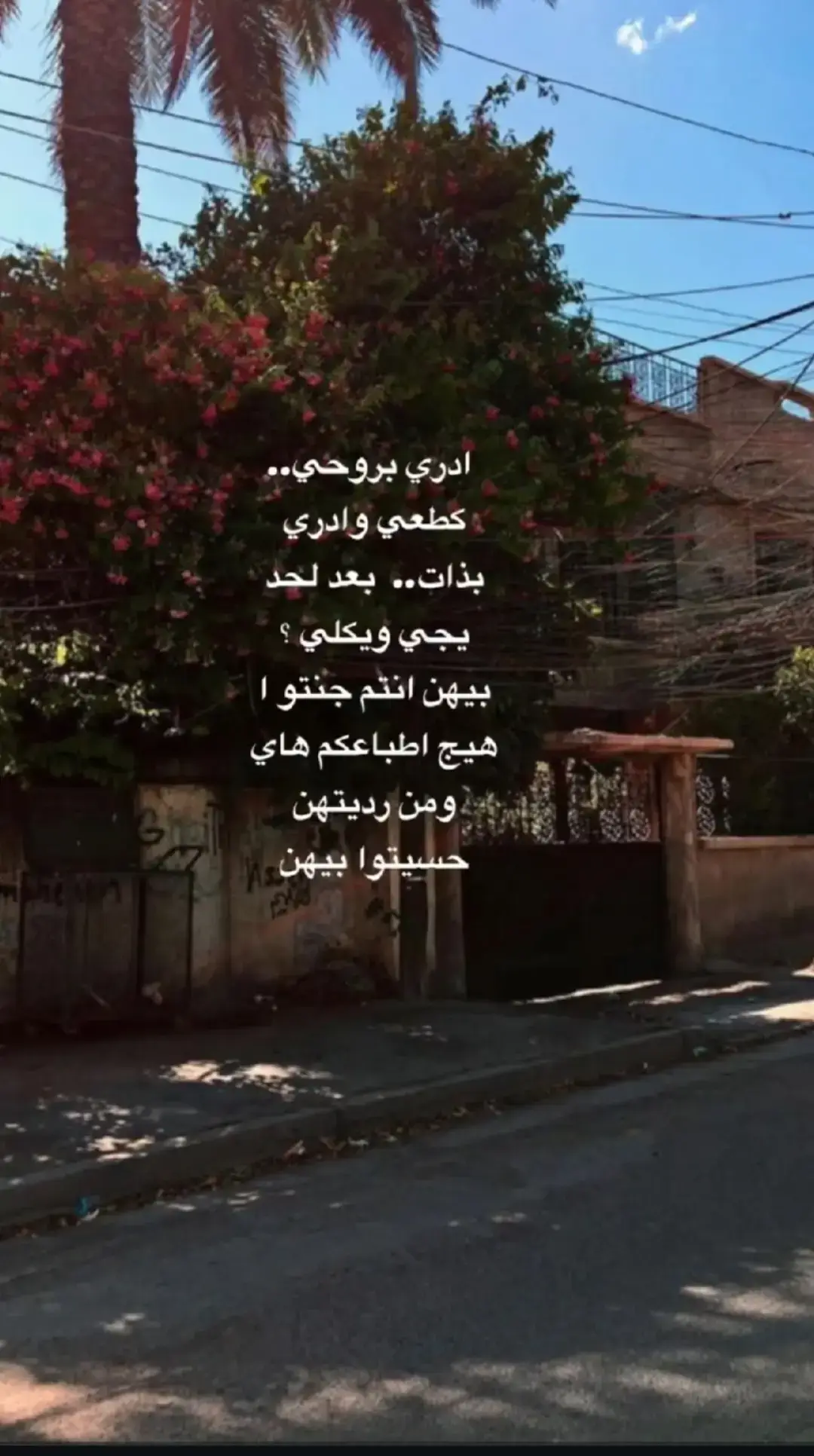 #ستوريات #رسائل #مقالات #ستوريات 