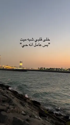 لما سبني و يوم ما خاب 😔 #اصاله #اصاله_نصري #💔 #هواجيس #دمار 