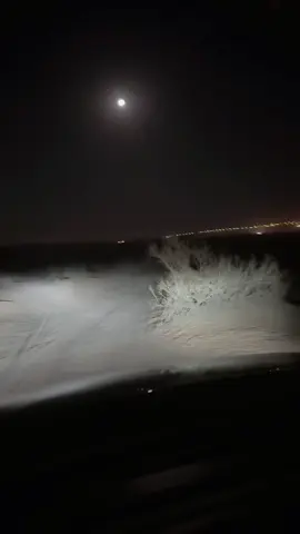 قالو حبيبك يسمع الشعر . قلت ايه #قصيد #متعب_التركي #ابو_حصه #explore #fypシ 