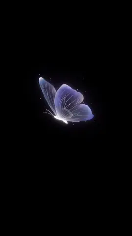 🦋قشنگ بود
