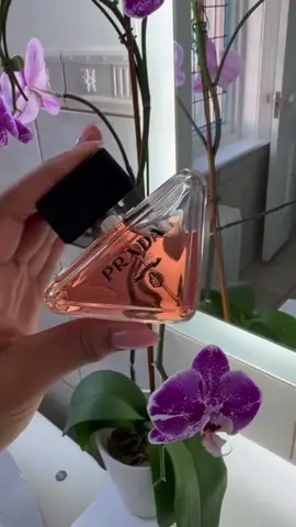 العطر الذي لا يخلو  عند أي وحدة تحب تريح نقا 🥹❤️‍🔥  #fyp  #prada  #algeria #parfum 