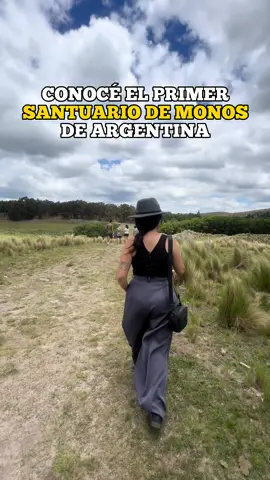 PROYECTO CARAYÁ 📍 La Cumbre. Valor de la entrada mayores de 3 años: $20.000 (se recibe como donativo para la reserva) @Central de Pasajes #turismocordoba #reservamono #monoscaraya #lacumbre #cordoba 