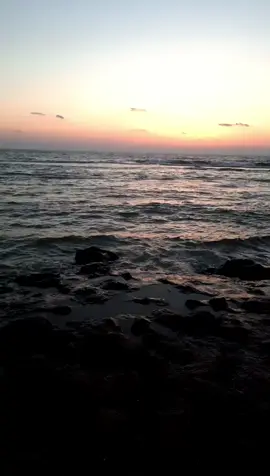 ──🍂 ما احلى الهدوء🍂──