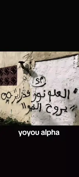 #fyp #كتابة جدران