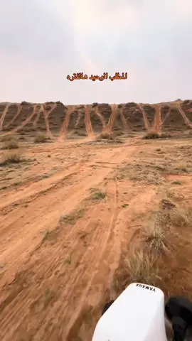 #الغضا #القصيم #عنيزه #بر_الغضا 