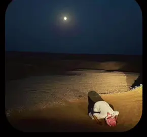 اجر لي ولكم❣️ #قران #quran #تلاوات #fypシً #foryoupage 