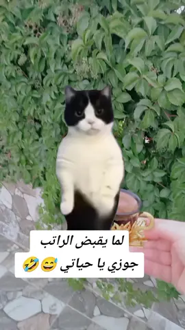 #Meme #MemeCut #CapCut #🤣🤣🤣🤣🤣🤣 #للمزح 😅🤣