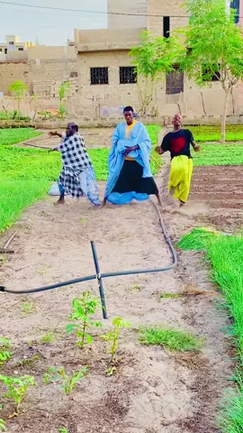 @𝑩𝒂𝒔𝒔 𝑻𝒉𝒊𝒐𝒖𝒏𝒈 👑❤️ @daguitte officiel 😂😂😂 77 @Babs bass thioung ❤️ @fatou_ndiaye_sn 