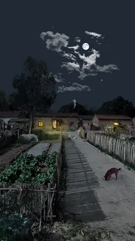 🍃🍂🍁🌳🍀🌿🌱⛅✨ #binhyencungsb #binhyen #anyen #hanhphuc #thiennhien 