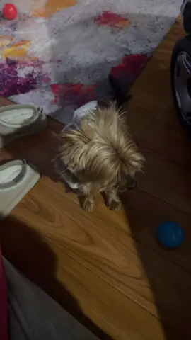 This kid is so funny 😂 