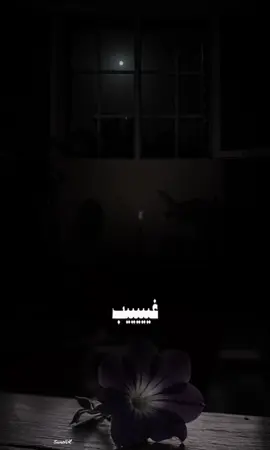 #غيييييييييب🕊️💔#fypageシ #كسبلور_explor 