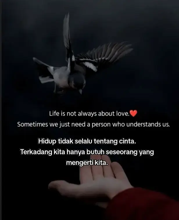 #pecintaboliwood🥰 #hubunganjarakjauh❤️ #mixedcouple #vpyfツ 