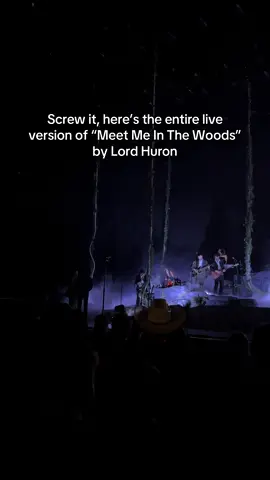 I HAVE SEEN WHAT THE DARKNESS DOES! #LordHuron #livemusic #indiemusic #indierock #concert