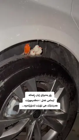 باران..#feb #ئیدێتシ♡ #regrjabary 