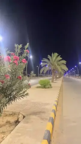 اذا فلست اعكس الكلمه، فقط.:'😂💔#مارب_شبوه_الجوف #تصويري #متابعه_ولايك #اكسبلوررر 