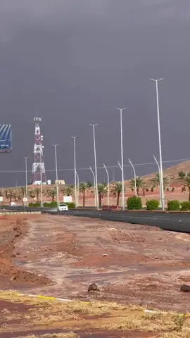 #امطار_الشملي