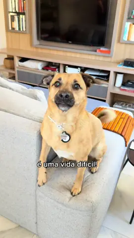 se você fala um único não: 