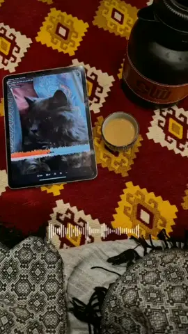 #مجابر_صنعانيه✨ #اليمن #اكسبلور #لايكاتكم #صنعاء_تعز_عدن_اب_ذمار_حجة_حضرموت 🥀