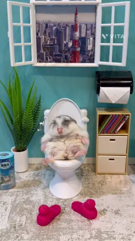 ✨🚽💩Michaelマイケル君😂😳