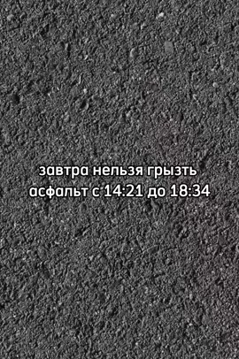 #не грызите асфальт#нельзя #грысть