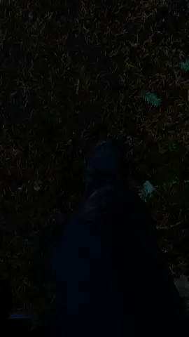 Ghastly Woods #nature #darkfantasy #foryoupage #darkaesthetic #fantasy 