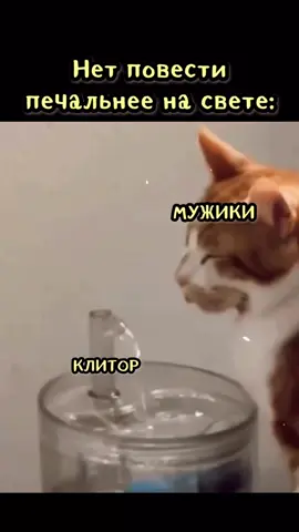 #подозрительныйкабан #жиза #мужики #юмор_видео #приколи 