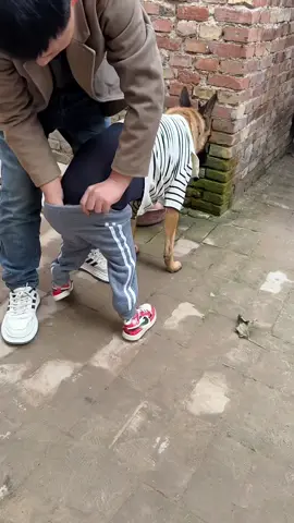 #مليون_مشاهدة❤🔥🔥🔥🔥🔥🔥 #شعب_الصيني_ماله_حل😂😂 