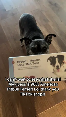 #dnatest #petdnatest #tiktokshop #petfinds #dogsoftiktok 