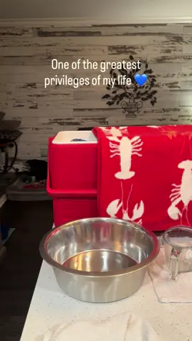 I will never take these opportunities for granted. I am so grateful for this job and these experiences. Sharing my home with a baby Hyacinth is an honor 💙 #parrotstars #parrotlover #birdlover #aviculture #hyacinth 