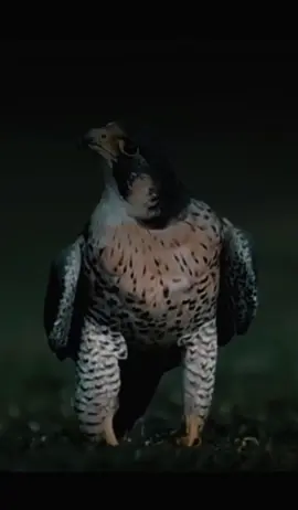 #7110917 #7110917 #شريان العز 