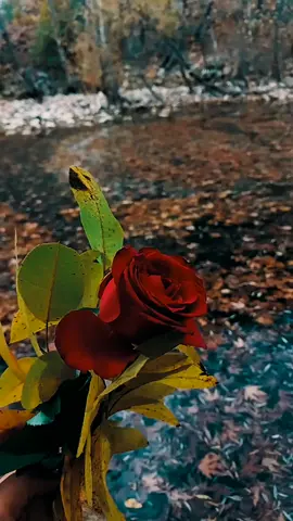 Beni üzme olurmu! Beni üzen olursa sana söylerim ben, eğer sen beni üzersen kime söylerim.