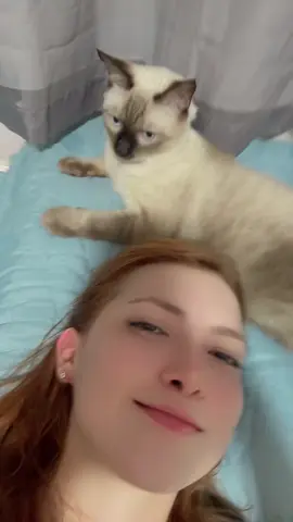 #gatos #fyppppppppppppppppppppppp 