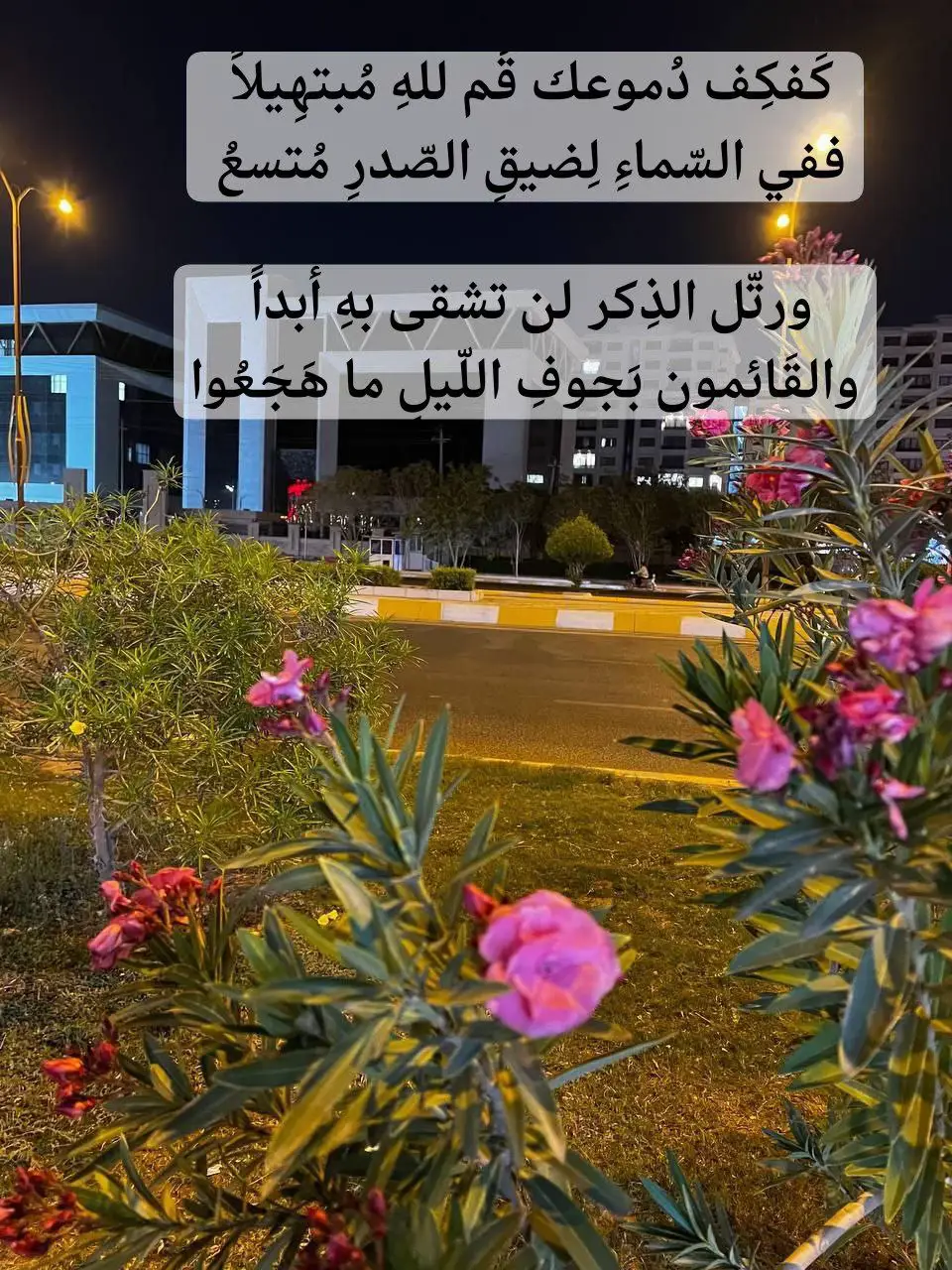 #تصويري📷 #اعادة_النشر🔃تابعوني #سبحان_الله_وبحمده_سبحان_الله_العظيم #الانبار_الفلوجة 