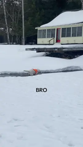 The slow me has me dead 