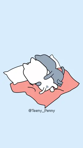 🥰💙🤍 . . . . . . #penny#teeny#pennyteeny#pennyandteeny#kittens
