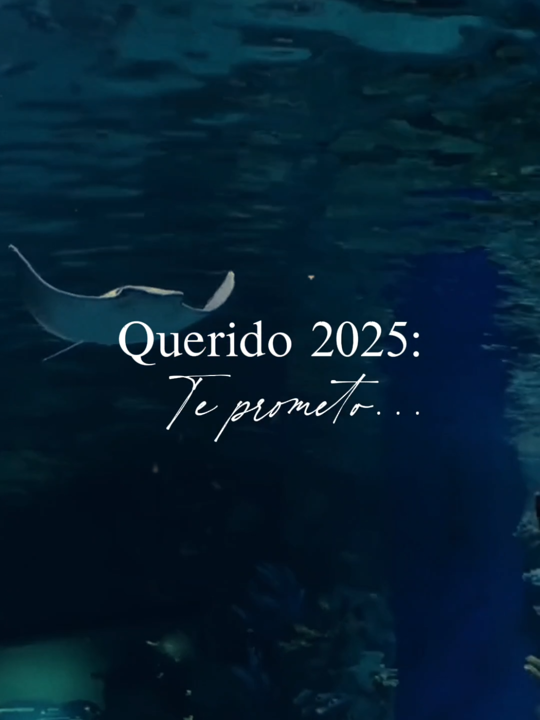 te prometo ... ♥️✨💗#elataubert #adios2025 #letrasdecanciones #Caplyric #CapCut 