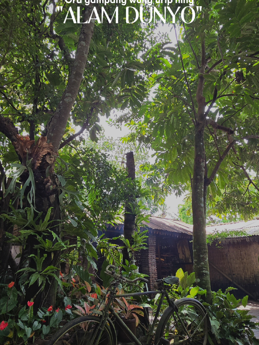 #gubukkopiborobudur  #wisatamagelang #slowliving #kebunbelakangrumah #vacaciones 