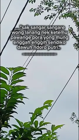 ora sido sangar.. pawange luweh galak  #storyjawa #berandatiktok  #viral #katakata 