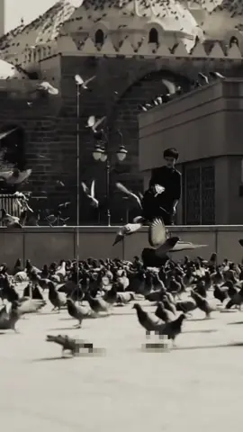 طير يا طاير في سماء ابين