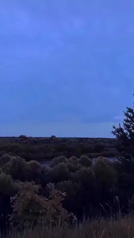 #chaimdayan_motivtsia 