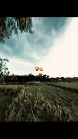 #duet with @EMNI ⚰️  #fyp 